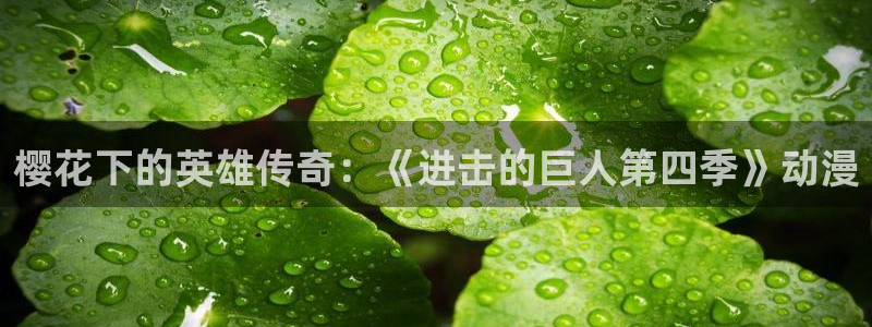 简明易懂的scp动漫之家：樱花下的英雄传奇：《进击的巨人第四季》动漫