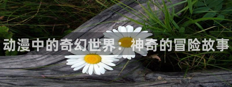 ,动漫之家