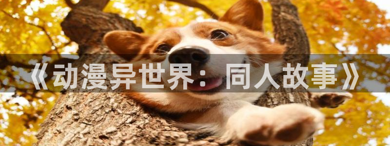 动漫之家苹果版下载