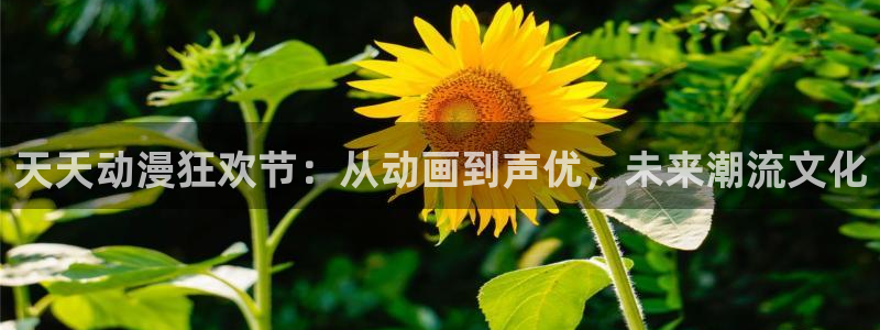 动漫之家漫画