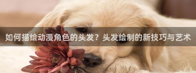 国语动漫之家：如何描绘动漫角色的头发？头发绘制的新技巧与艺术