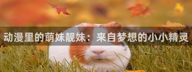动漫之家网页版：动漫里的萌妹靓妹：来自梦想的小小精灵