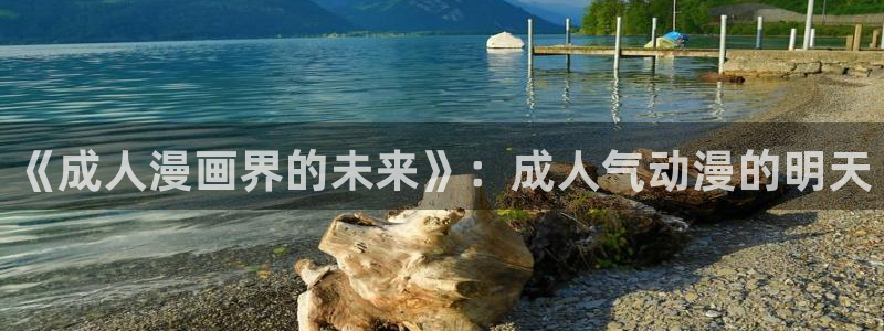 动漫之家\'\'：《成人漫画界的未来》：成人气动漫的明天